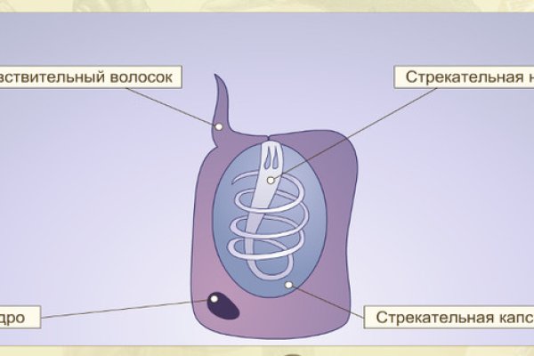 Кракен сайт krk market com