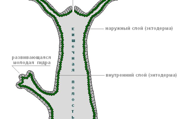 Кракен даркнет регистрация