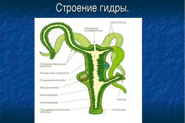 Кракен упал