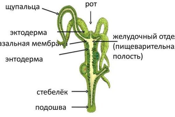 Кракен zerkalo pw