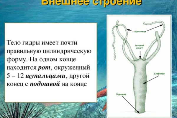 Как пополнить кошелек на кракене даркнет