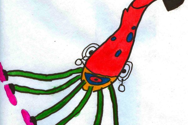 Kraken 5at