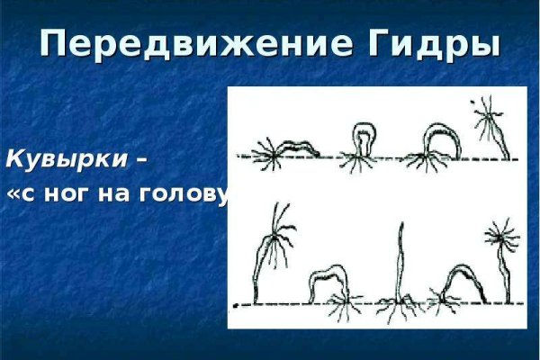 Kraken актуальное